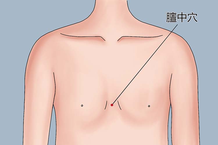膻中穴图