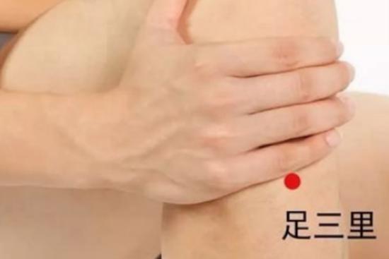 足三里穴图