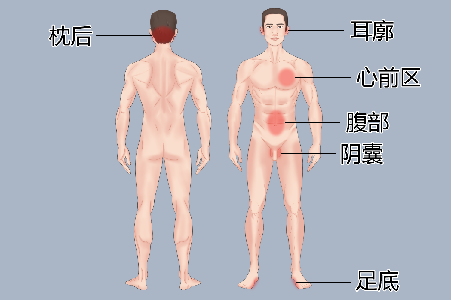 冷敷禁忌部位示意图