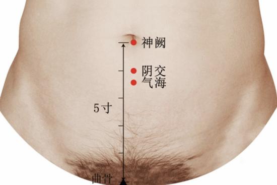 神阙穴位置图