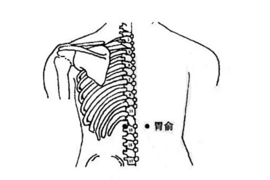胃俞穴位置图 胃俞穴位置图