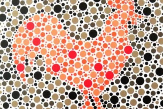 色盲表动物鸡图