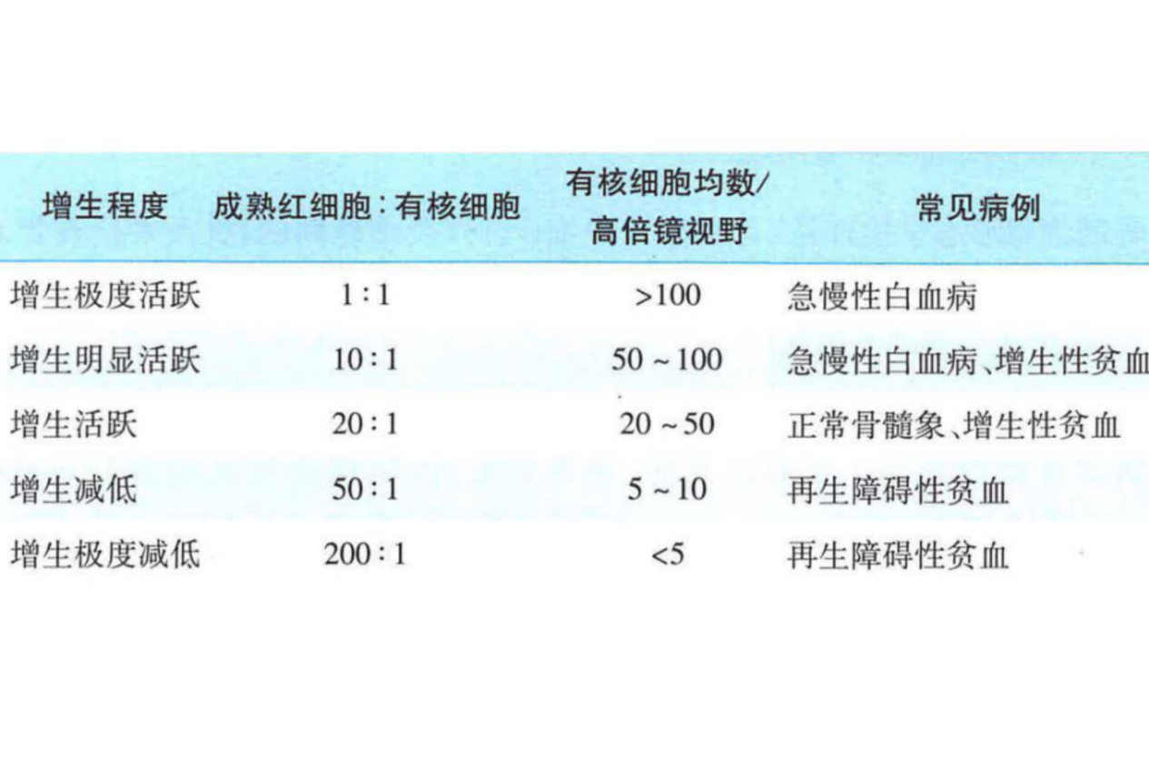 骨髓有核细胞增生程度分级图