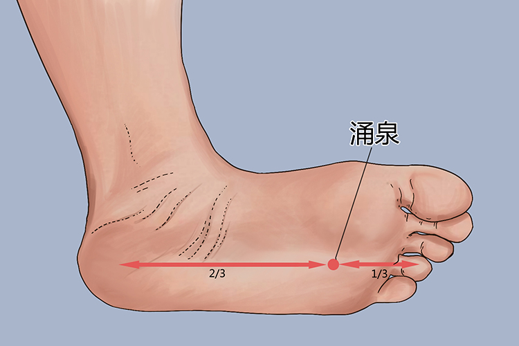 足部涌泉穴图