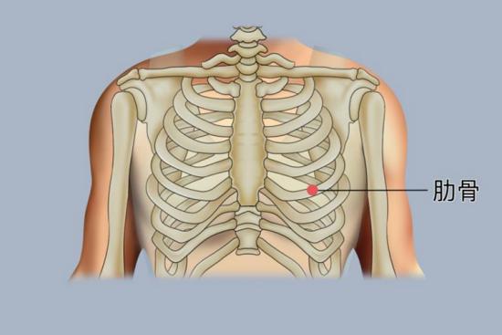 心脏等器官,肋骨骨折最常发生在第5到第9根,第1根,第2根肋骨因受肩膀