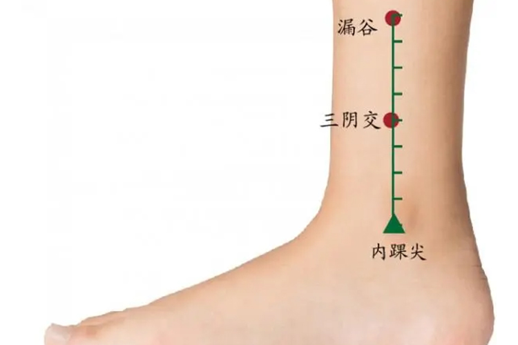三阴交位置图