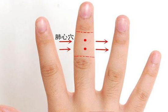 董氏肺心穴位置图 董氏肺心穴位置图
