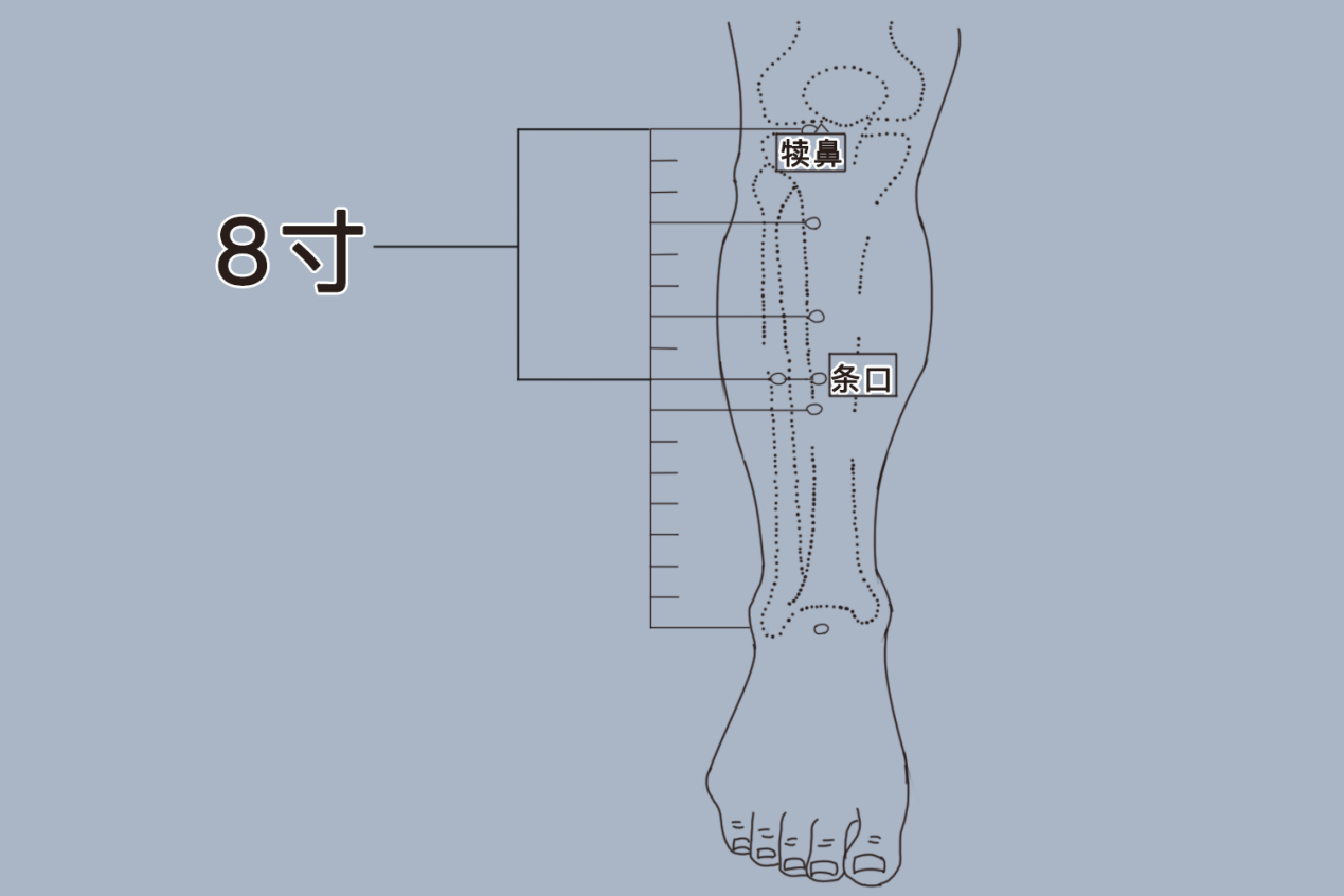条口穴准确位置图 条口穴准确位置图