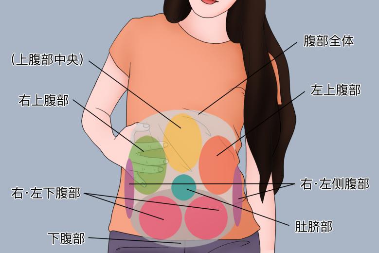 右下腹、肚脐部位置示意图
