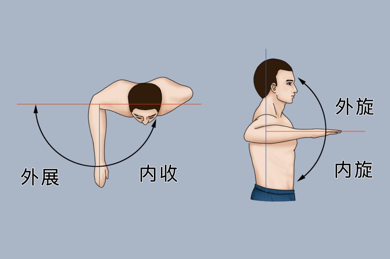 腿内旋外旋动作图图片