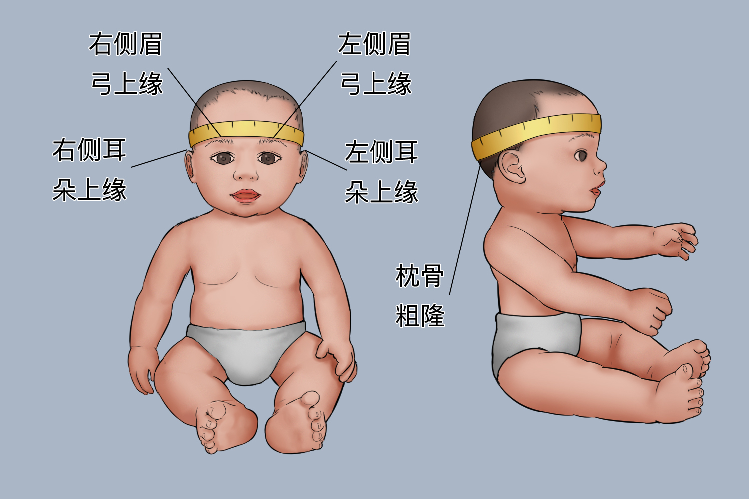 婴儿前囟测量方法图图片