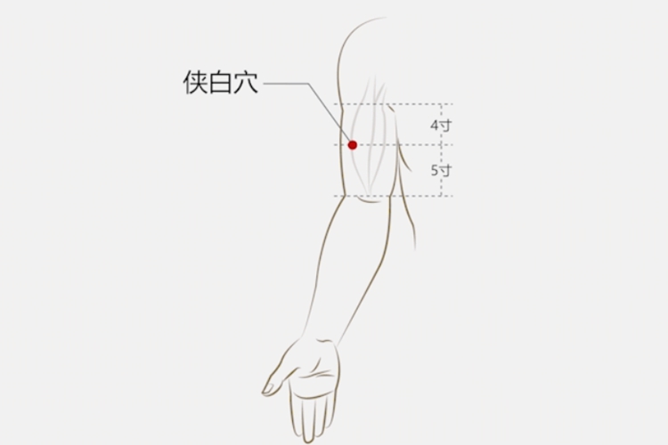 侠白的准确位置图