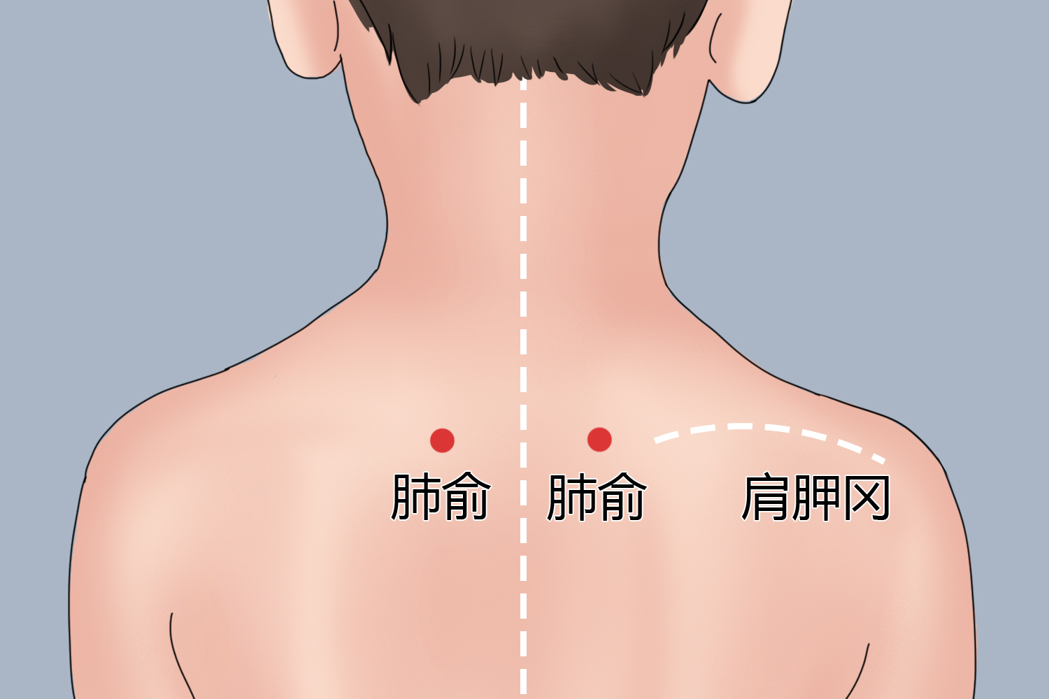 小儿肺俞穴图