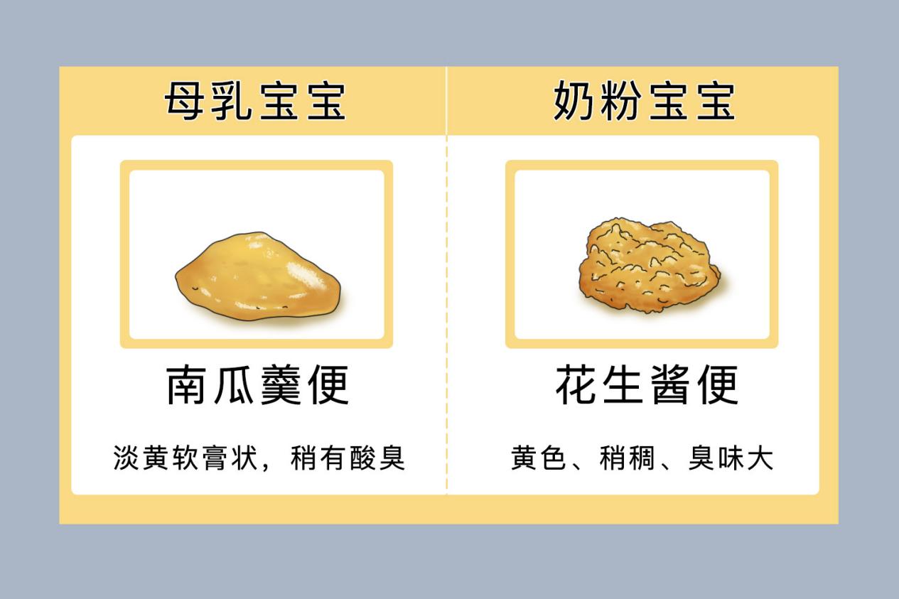 八个月宝宝大便颜色正常图 八个月宝宝大便颜色正常图