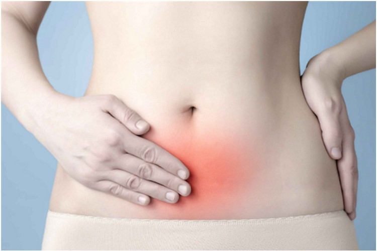 正常着床痛位置图 正常着床痛位置图