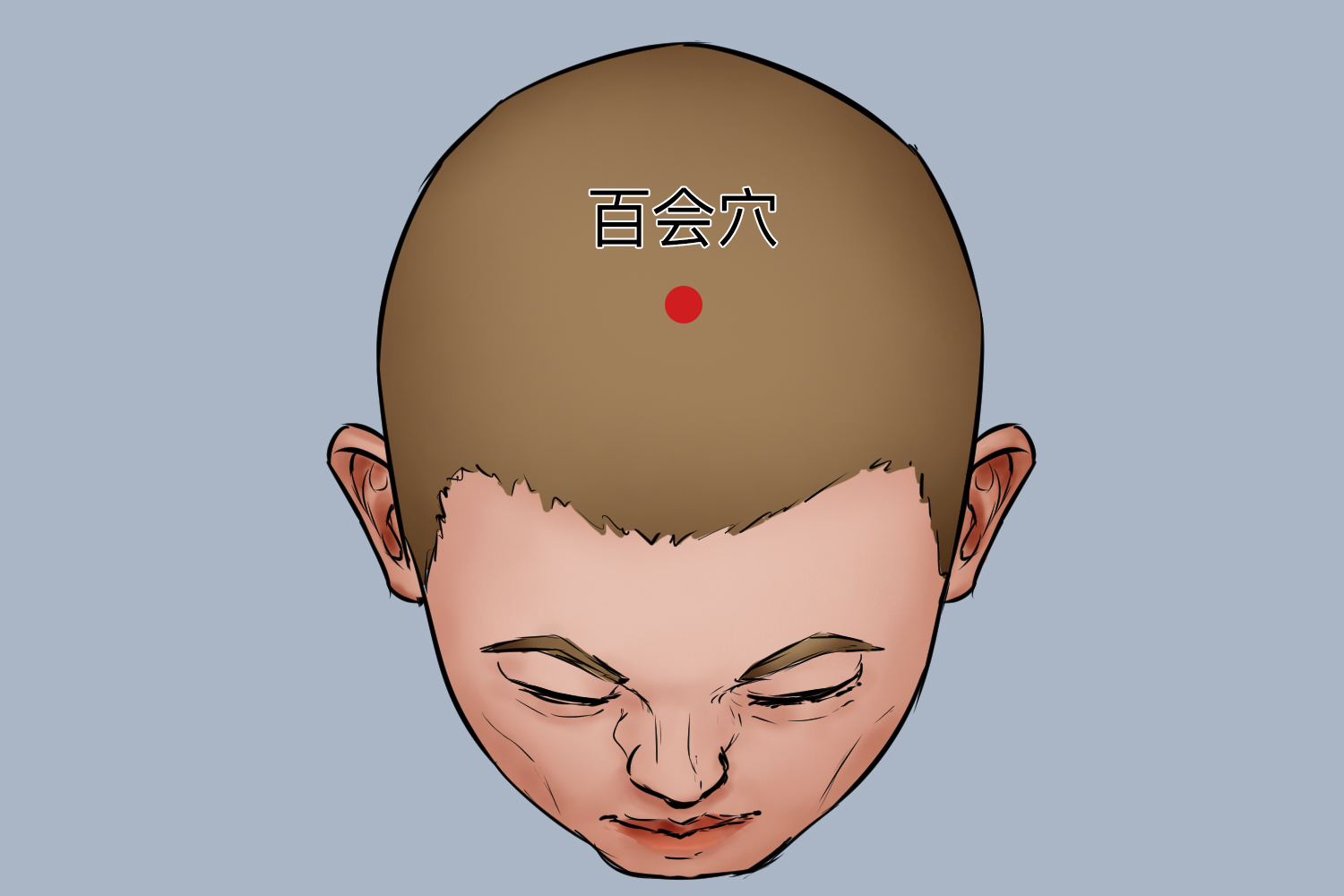 百会穴图 百会穴图