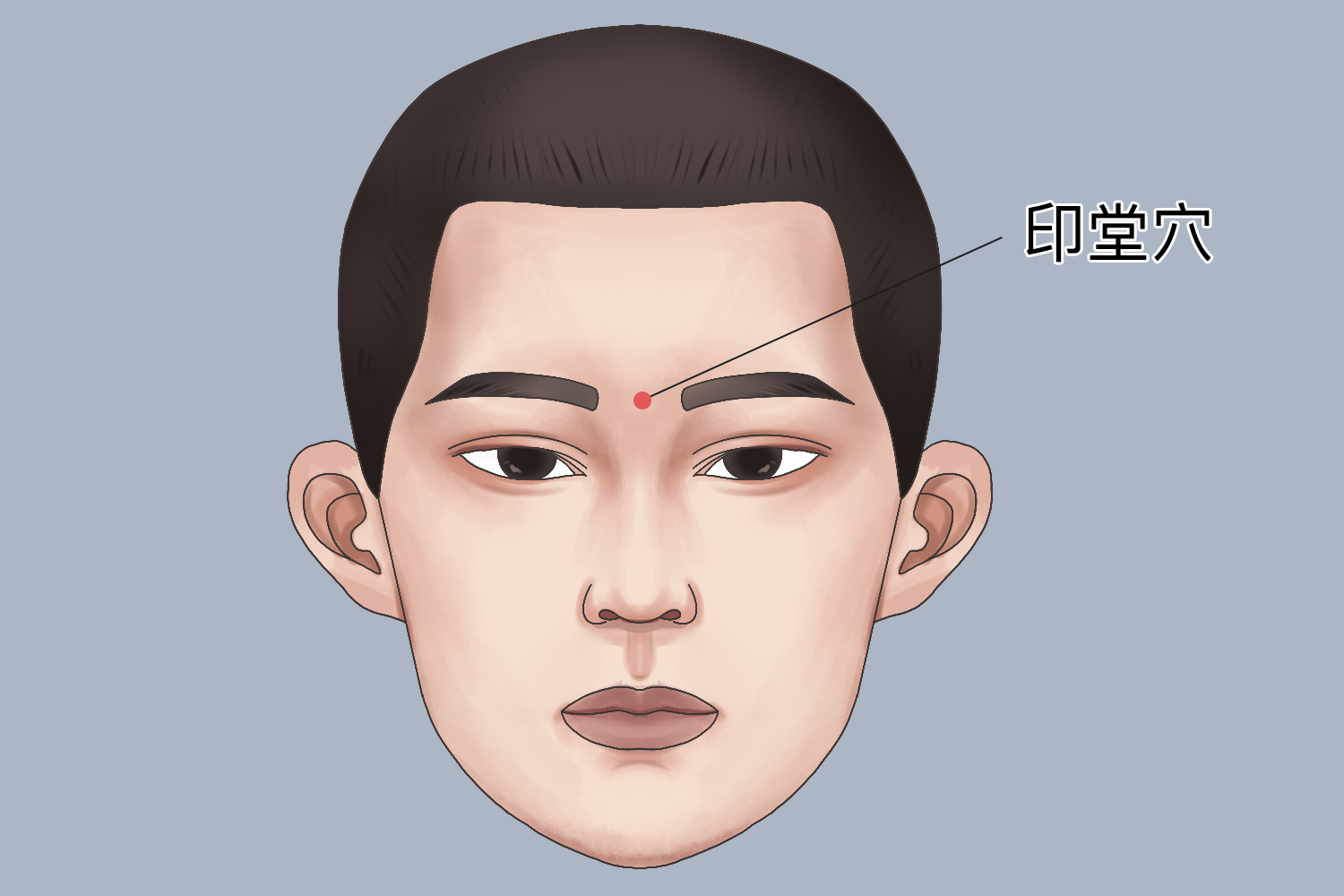 印堂穴图 印堂穴图