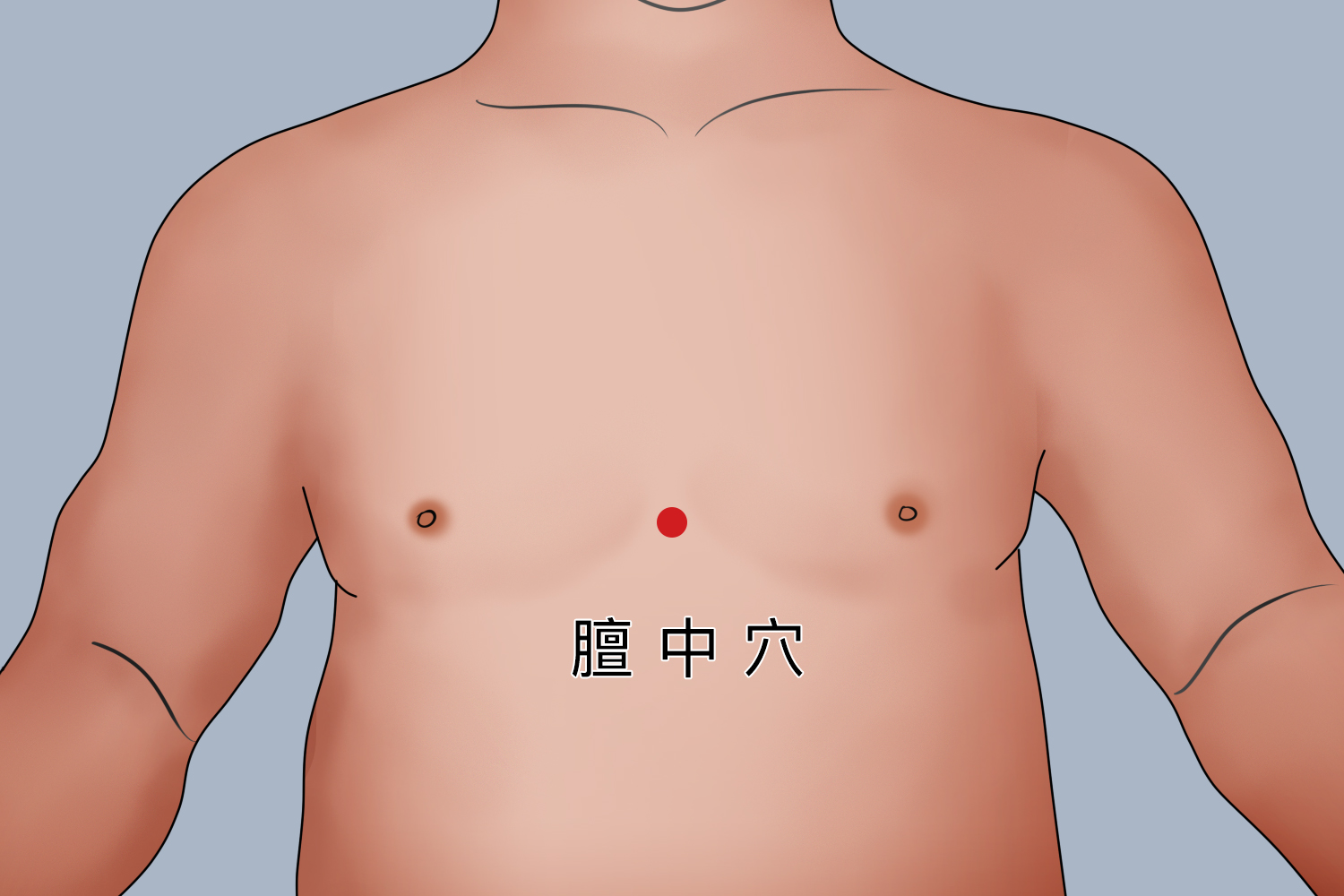 膻中穴图 膻中穴图