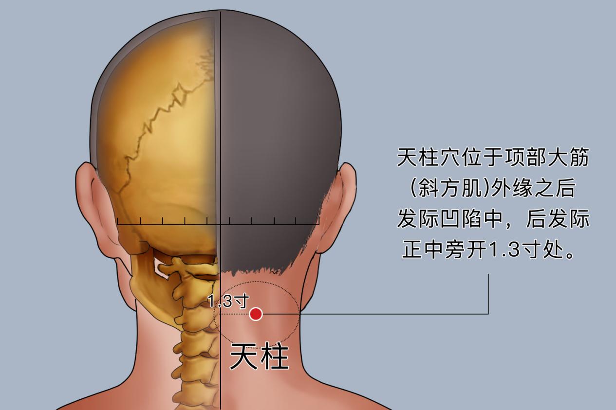 天柱穴图