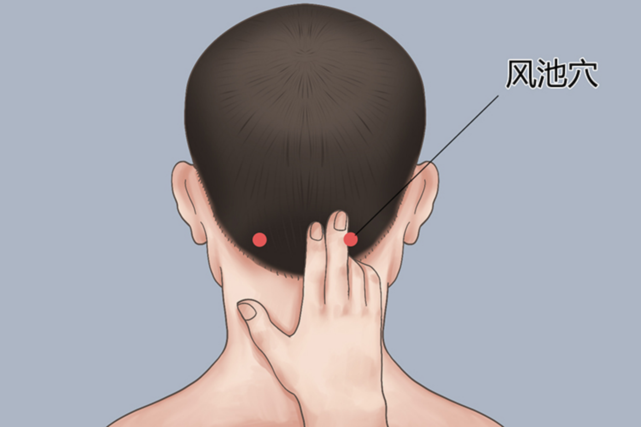 风池穴位置图 风池穴位置图