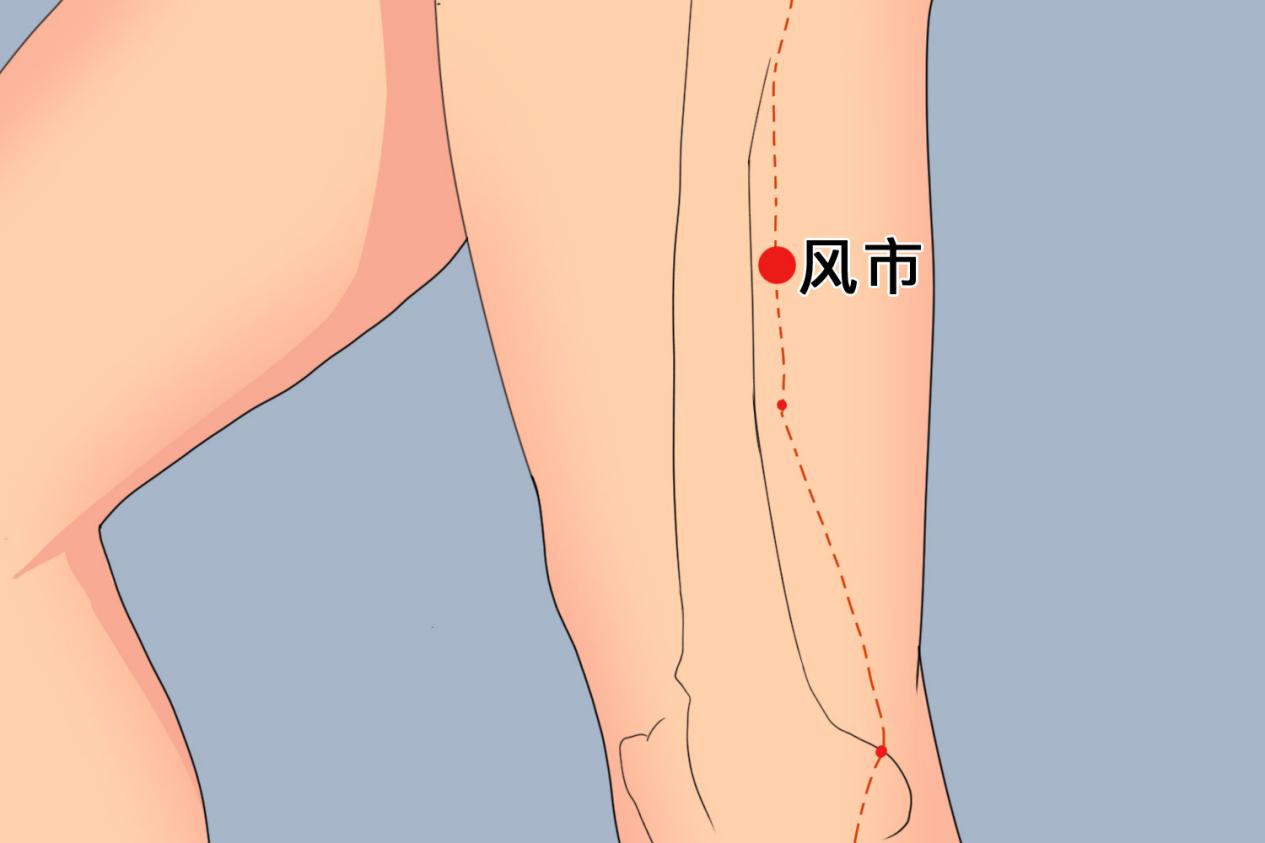 风市穴位置图 风市穴位置图