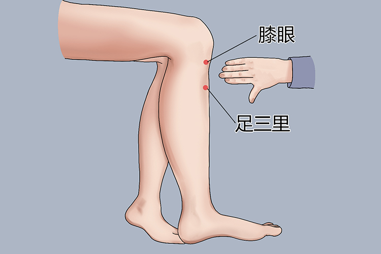 足三里位置图 足三里位置图