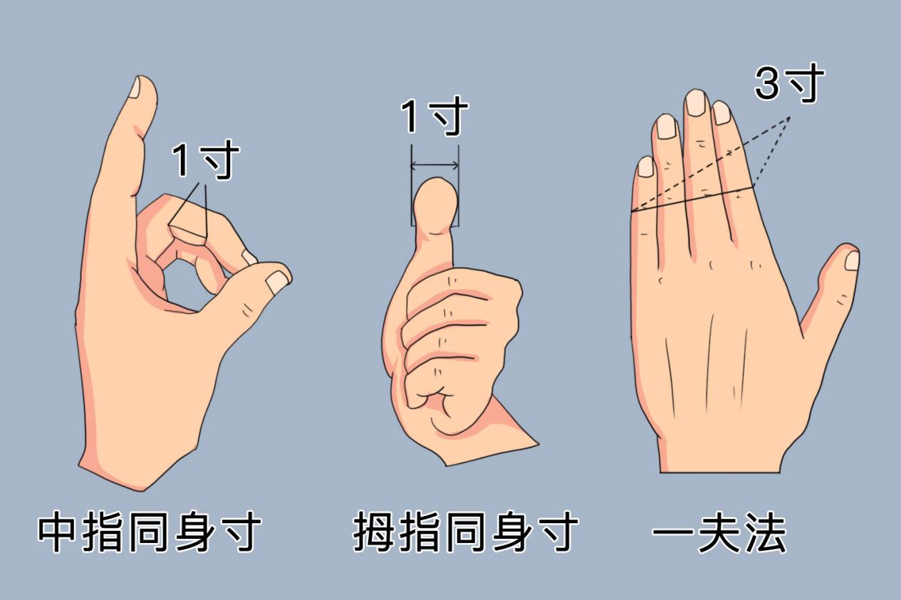 手指同身寸取穴法图 手指同身寸取穴法图