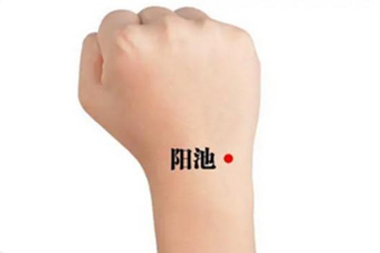 阳池准确位置图 阳池准确位置图