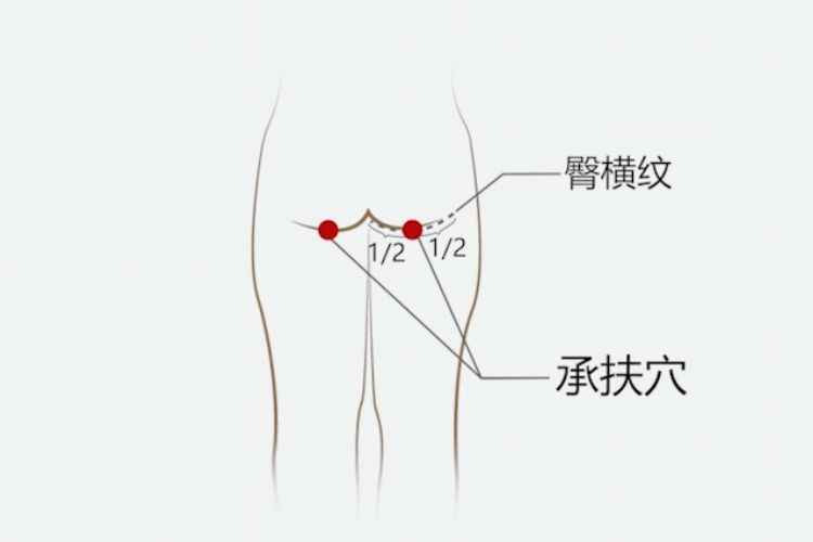 承扶穴位置图