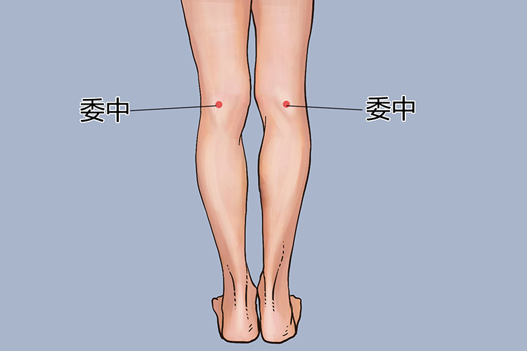 委中穴位置图