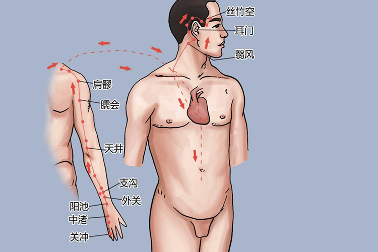 手少阳三焦经循行图解图片