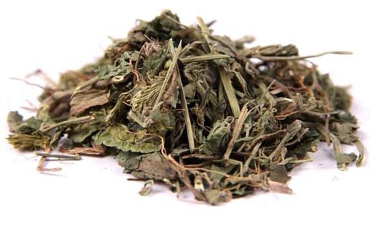 六角仙草药图 六角仙草药图