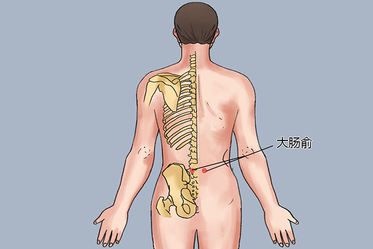 大肠俞位置图