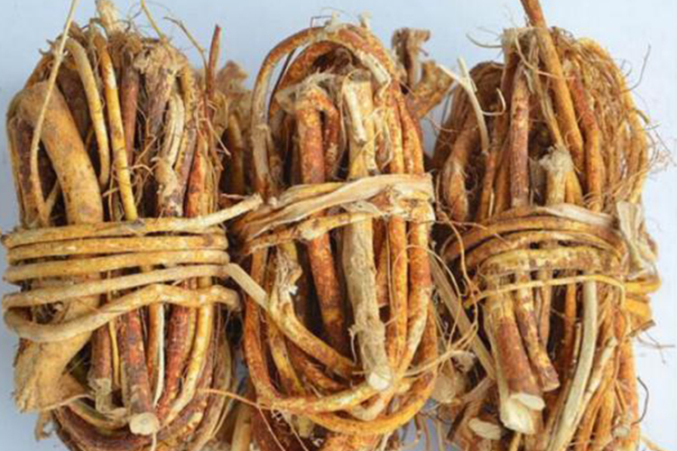 五指毛桃药材外观图