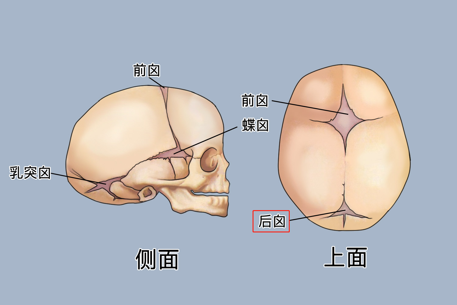 1655359474989501.png