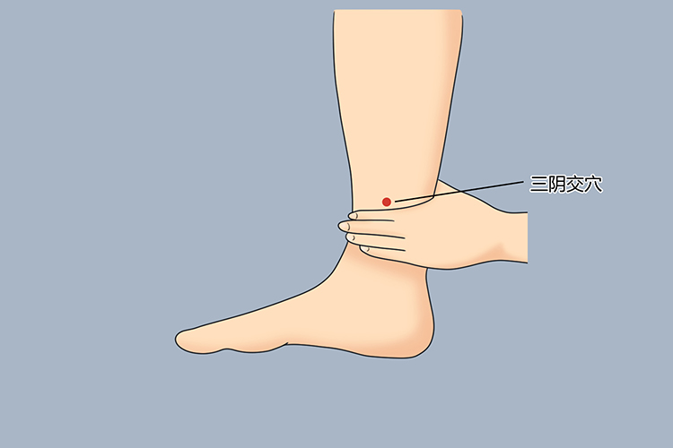 三阴交和足三里的位置图_有来医生