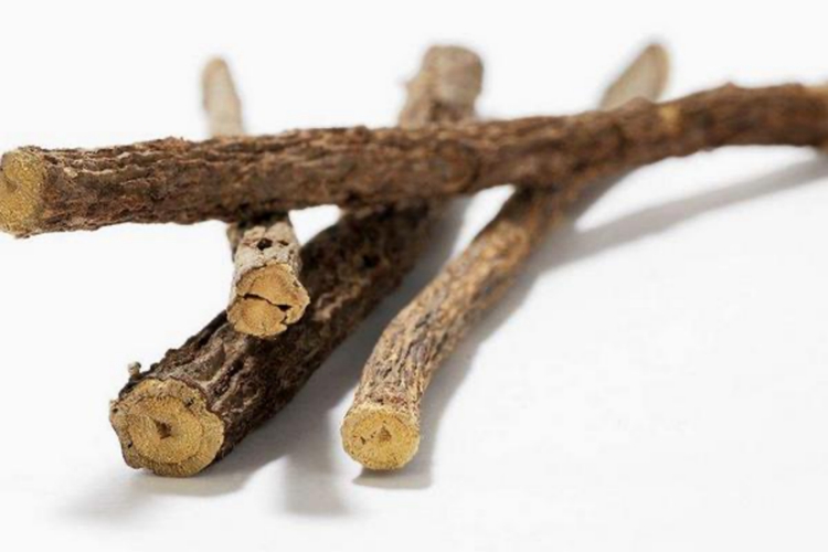 甘草中药图 甘草中药图