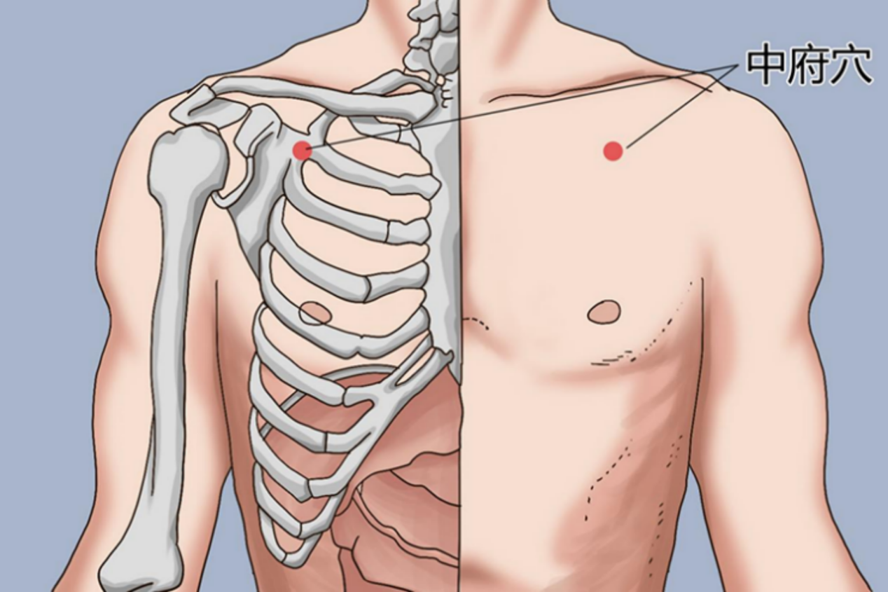 中府穴位置图