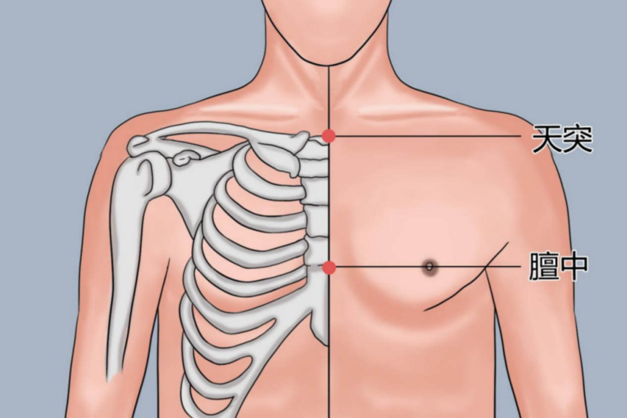 天突穴、膻中穴位置图