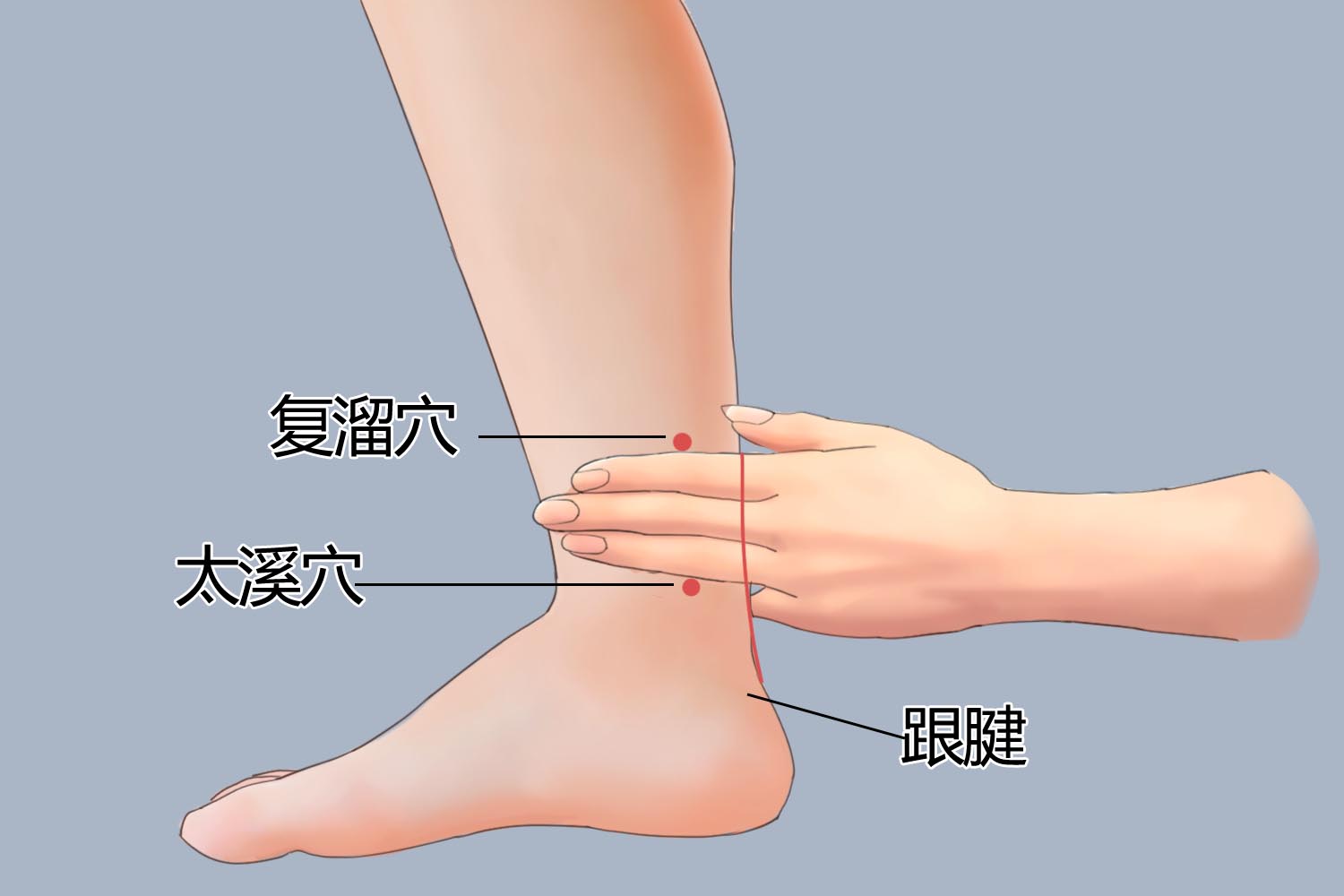 复溜穴位置图 复溜穴位置图
