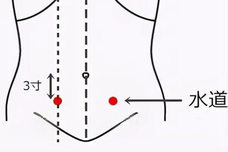 水道穴位置图 水道穴位置图